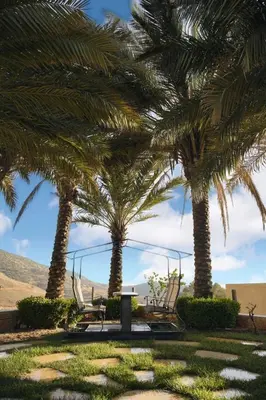 a group of palm trees with a table and chairs at Luxurious private villa in Mahis in Māḩiş