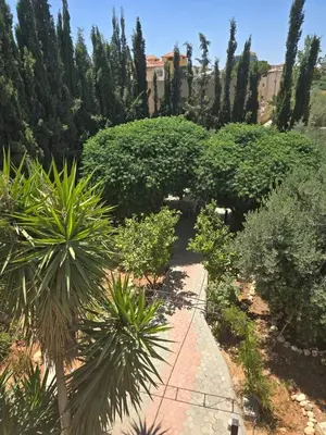 a garden with bushes and trees and a pathway at Le Jardin in Madaba