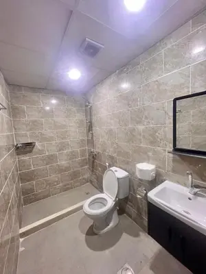 a bathroom with a toilet and a sink at Layla Wadi Rum in Disah