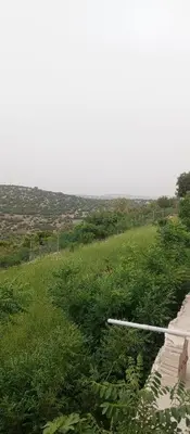 a field of green grass with a road at Grand farm