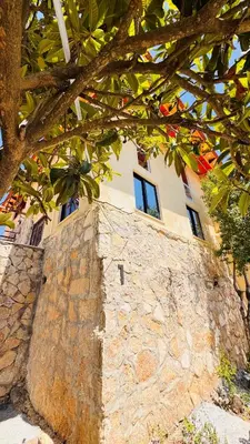 a building with a stone wall next to a tree at عجلون - ajloun اشتفينا -9 in Ajloun