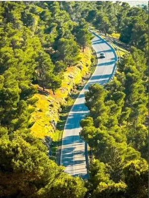 a winding road in the middle of a forest at شاليه بانا جرش jerash