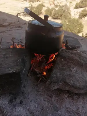 a pot sitting on top of a camp fire at Friends of Dana Hotel in Dana