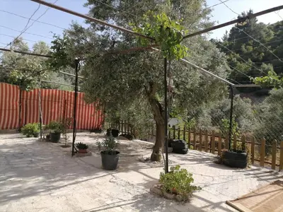 a garden with a tree and a fence at شقة مفروشة في عجلون in Ajloun