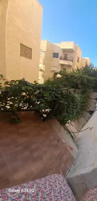 a tree in front of a building at شقة مميزة in Rujm Maghghijhah