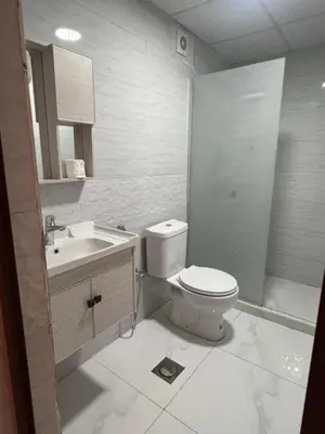 a white bathroom with a toilet and a sink at RUM PILLARS REST houstl in Wadi Rum