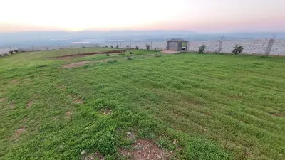 an open field with green grass and a building at شاليه ومزرعة طبقة فحل Chalet Pella