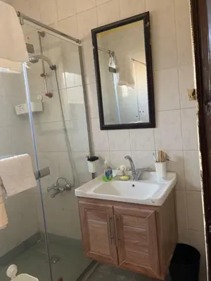 a bathroom with a sink and a shower with a mirror at Affordable Furnished 2BR for Rent in Amman