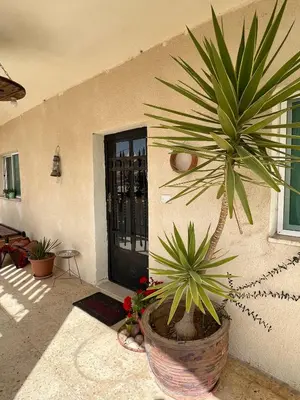 a plant in a pot in front of a door at B&B petrafarmhouse in Wadi Musa