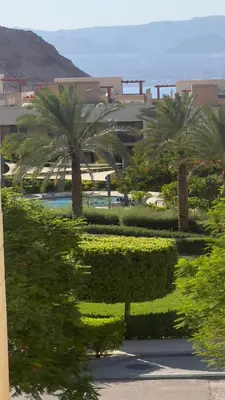 a view of a resort with palm trees and bushes at قرية الراحة باطلالة بحرية-مرسى زايد-Alraha village -marsa zayed- with sea view in Aqaba