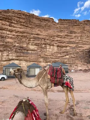 a man riding a camel in the desert at Red Dunes Wadi Rum Camp in Wadi Rum