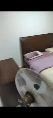 a bird is sitting on a fan next to a bed at شقه مفروشه in Amman