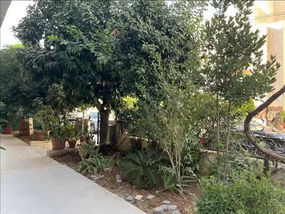 a garden with trees and plants next to a sidewalk at Sunny Studio in Amman in Amman