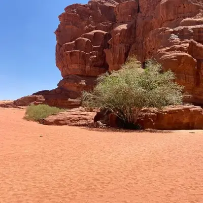Sahara Camp Wadi Rum