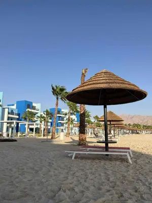 a large umbrella on a sandy beach with palm trees at Ayla-Azure in Aqaba