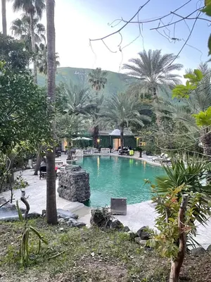 a swimming pool in a resort with palm trees at Sossita Guesthouse & Boutique Resort