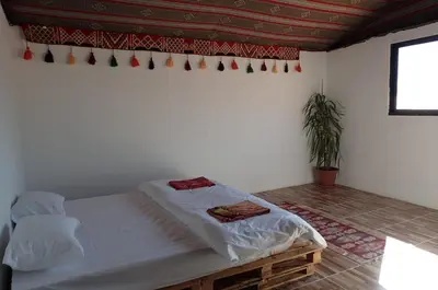 a bedroom with a bed and a potted plant at Martian Desert Camp in Wadi Rum