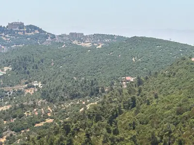 a green hillside with a city on top of it at أكواخ المها oryx cottage in Ajloun