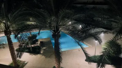 two palm trees in front of a swimming pool at شقه بغرفة نوم في قريه الراحة one bedroom apartment in alraha village in Al Jafr