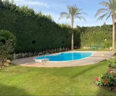 a swimming pool in a yard with palm trees at Jordan farm in Amman