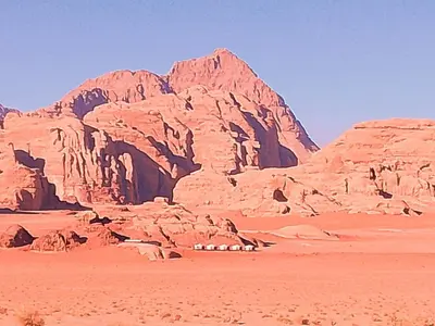 a group of animals in the desert with mountains at Wadi Rum Sands Story Camp &Tours in Wadi Rum