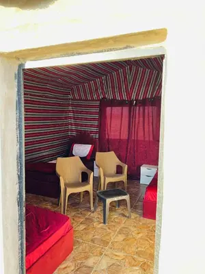a living room with two chairs and a bed at Dana Sunset camp in Nijil