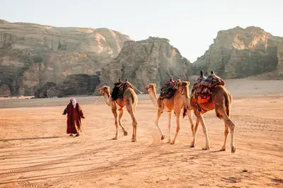 a man walking a group of camels in the desert at Nomad Heights Authentic Bedouin Cave Experience in Wadi Rum in Wadi Rum
