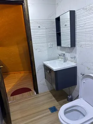 a bathroom with a toilet and a sink and a shower at Eileen wadi rum camp in Wadi Rum
