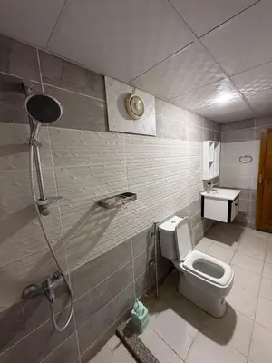 a bathroom with a shower and a toilet and a sink at Eileen wadi rum camp in Wadi Rum