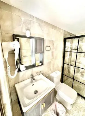 a bathroom with a sink and a toilet at LAVRA lUXURY CAMP in Wadi Rum