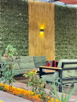 a green wall with a couch and a table at Al-Najm Coastal Camp Rum in Wadi Rum