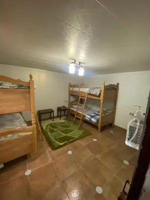 a room with two bunk beds and a green rug at اربد ام قيس طريق درب الاردن in Um Qeis
