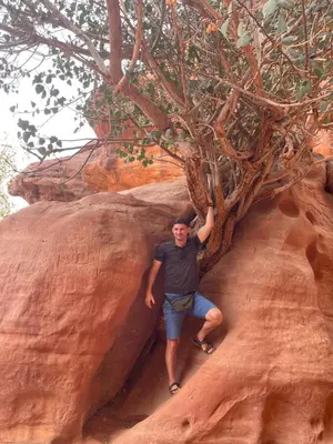 a man standing under a tree on a rock at Bedouin Secret Cave in Wadi Rum