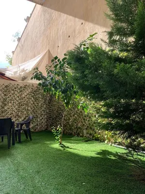 a garden with a bench and a tree on the grass at Luxurious 3 Bedroom Apartment in Heart of Amman in Amman