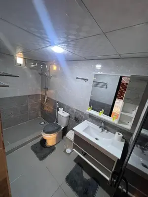 a bathroom with a sink and a toilet and a shower at Wadi Rum Bubble Dream in Wadi Rum