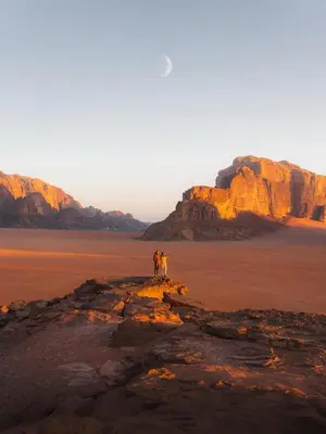 a dog standing on a rock in the desert at ELENA lUXURY CAMP in Wadi Rum