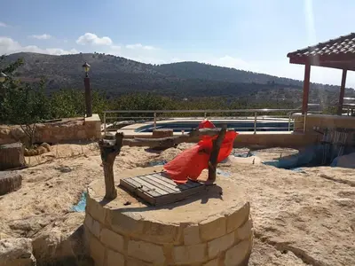a parrot statue sitting on a bed in front of a pool at Green Hills in Ajloun