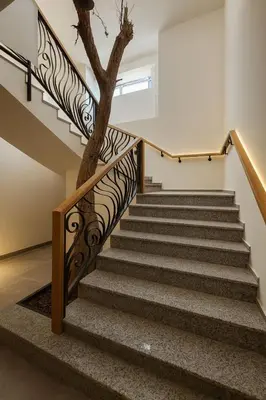 a tree on the stairs of a house at Crystal Collection Hotel in Amman