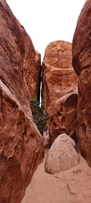 a canyon with some rocks and trees in it at Bedouin Horizons in Wadi Rum