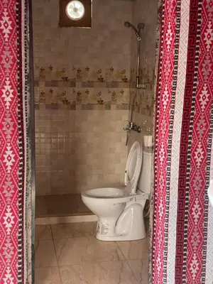 a bathroom with a toilet and a shower at Kingdom of the Stars, Wadi Rum in Aqaba
