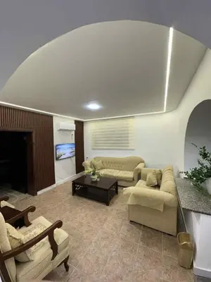 a living room with two couches and a fireplace at Cozy Studio 1 Central Amman Near Rainbow Street in Amman