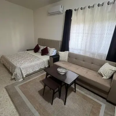 Cozy Studio Apartment