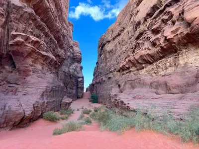 a path through a canyon in the desert at Wadi Rum Tours and Camp in Wadi Rum