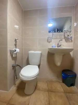 a bathroom with a toilet and a sink at Kirakoupdolis house & restaurant in Kerak