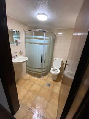 a bathroom with a shower and a toilet and a sink at Kirakoupdolis house & restaurant in Kerak