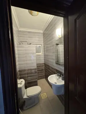 a bathroom with a toilet and a sink at 2bedroom-2bathroom-furniture in Amman