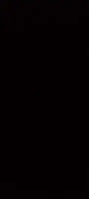 a dark room with a black background at Bright Stars Camp in Disah