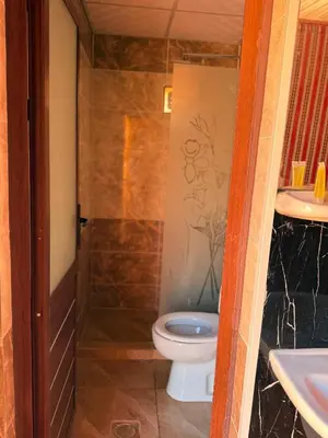 a bathroom with a toilet and a sink at Desert Moon Camp in Wadi Rum