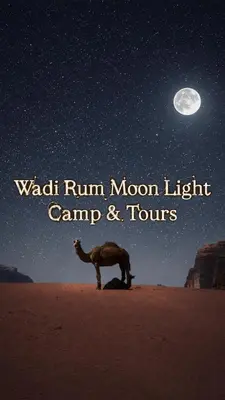 a camel standing in the desert under the moon and stars at Wadi Rum Moon Light in Wadi Rum
