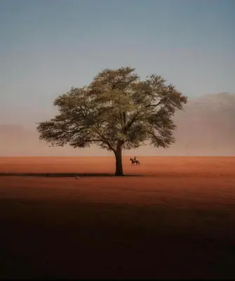 a tree with a person and a horse under it at RUM ELEIAN lUXURY CAMP in Wadi Rum